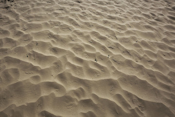 texture desert land sand dunes barkhans, deserts