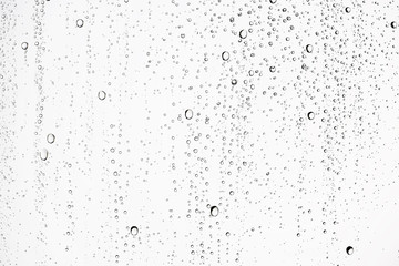 white isolated background water drops on the glass / wet window glass with splashes and drops of...
