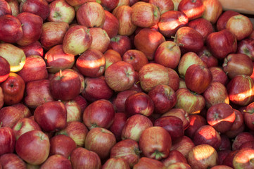 closeup of fresh organic  red apples at the market