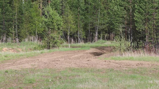 Tank Appearing from the Forrest