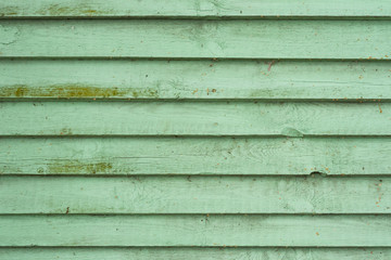 Derwniany panel deski zielone © B.M.