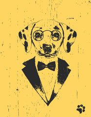 Portrait of Dalmatian in suit, hand-drawn illustration, vector