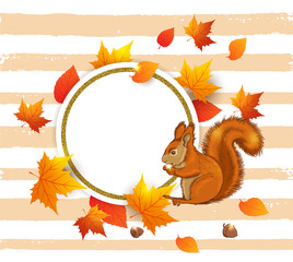 Squirrel and orange maple leaves.