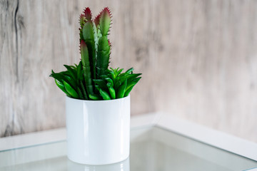 green plant in white pot with wood background