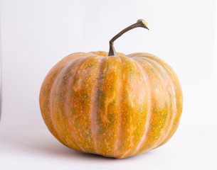 pumpkin on colorful background