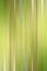 Obraz premium green gradient background / abstract blurry fresh green background