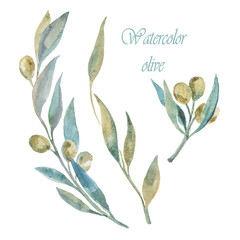 Watercolor green olives. Olive branches and leaves.. - 225308902