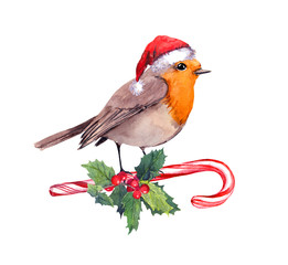 Robin bird in red santa hat on candy cane and xmas mistletoe. Watercolor card for Christmas