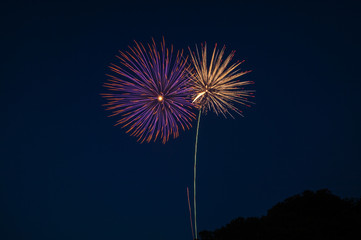 fireworks in the sky