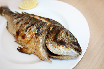 Dorada fish grilled on the plate