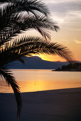 Fototapeta na wymiar Tropical sunset background 