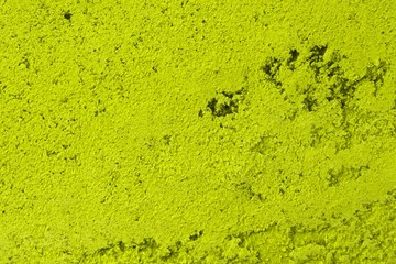 pretty shabby yellow decorative plaster texture for background use.