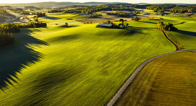 Farmland in sunrise - green mighty 