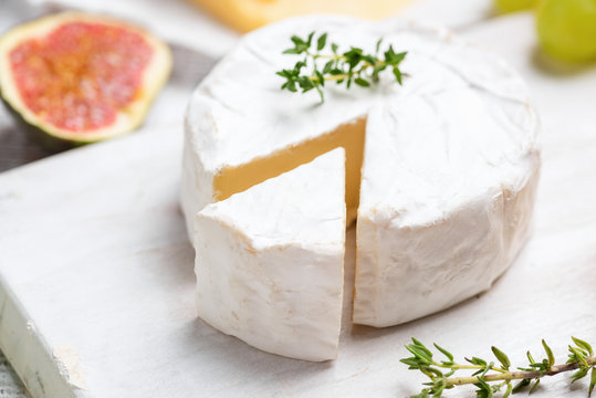 Brie or camembert cheese closeup. Selective focus