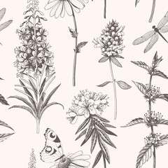 Vector hand drawn meadow flowers seamless pattern