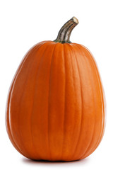 One orange pumpkin