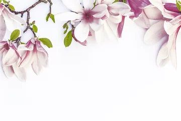 Fotobehang Beautiful magnolia flowers/Magnolia and peach flowers on white background with copy space © stsvirkun