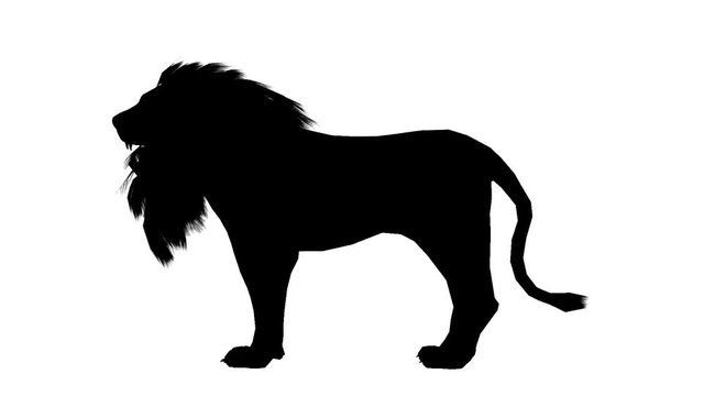 Black silhouette of a moving lion. Alpha channel. Alpha matte. FullHD.