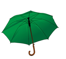 Green umbrella - cane on white background, vector eps 10