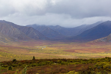 Fall colors in tundra, in Tombstone national park. Yukon, Canada