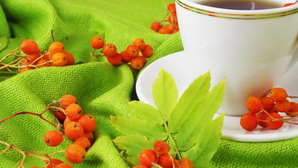 Useful and tasty red mountain ash.Drink from Rowan and a green scarf.