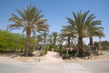 Fototapeta premium Neve Smadar, Arava, Israel