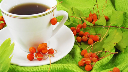 Useful and tasty red mountain ash.Drink from Rowan and a green scarf.