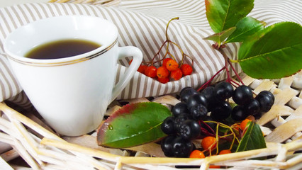 Useful drink of Rowan.Red and black ashberry on a wicker background.