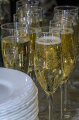 Glasses with champagne on the banquet table