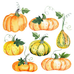 Watercolor set with orange and yellow pumpkins