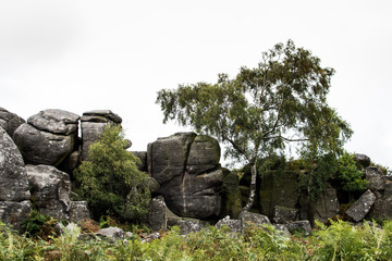 Gritstone rocks in the fields