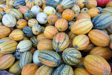 Group of orange green white small decorative pumpkins Pumpkins. Full frame natural harvest background