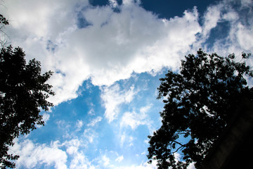 Clouds in the sky and trees on the sides