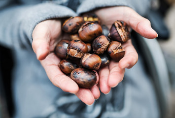 Hands of senior woman holding roasted chestnut outdoors in winter. - Powered by Adobe