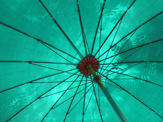 tree shadoe on green umbrella