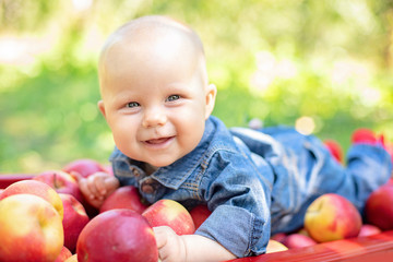 Fototapeta premium Girl with Apple in the Apple Orchard. Beautiful Girl Eating Organic Apple in the Orchard. Harvest Concept. Garden, Toddler eating fruits at fall harvest.