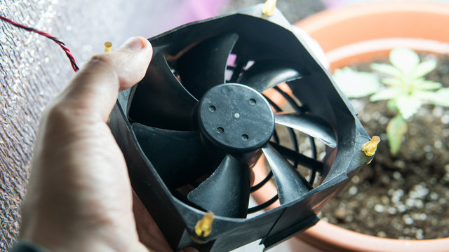 equipment for growing marijuana in growbox indoor.