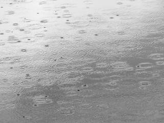 Rain drops in the water