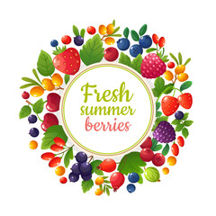 Fresh organic summer berries and fruits. Healthy food vegan cafe menu vector design. Strawberry fresh, blackberry and berry illustration