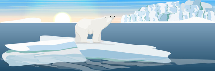 Large polar bear on an ice floe drifting in a cold northern ocean. The glacier and the snow-covered plains and the cold blue sea. Landscapes of the Antarctic. © AnnstasAg