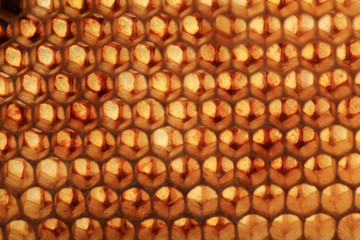 View of bee honeycombs against the light. Abstraction stained glass created by nature, bees.