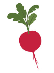 cute beet isolated icon