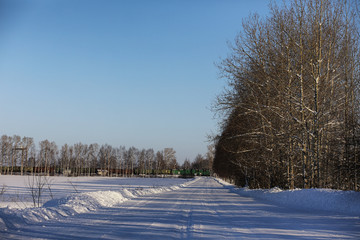 empty rural road in a forest in winter day 