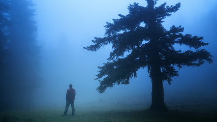 a man in a misty forest near a tree in nature from dusk till dawn