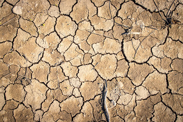 Vertrockneter, ausgelaugter Boden, Dürre / Desertifikation 