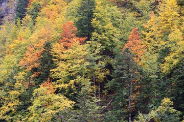 Ordesa National Park