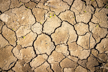 Vertrockneter, ausgelaugter Boden, Dürre / Desertifikation 