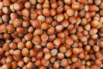 Background hazelnut nuts