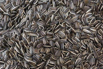 Sunflower seeds background