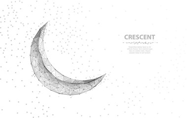 Fototapeta na wymiar Vector crescent moon. Abstract polygonal wireframe moon illustration on white background with stars of universe space.